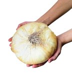 La Cipolla di Giarratana