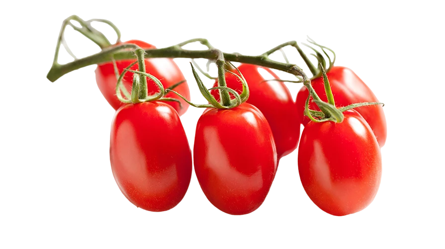 Datterino