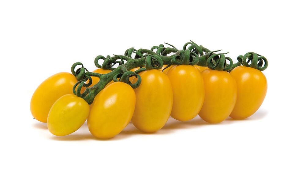 Pomodoro Datterino giallo