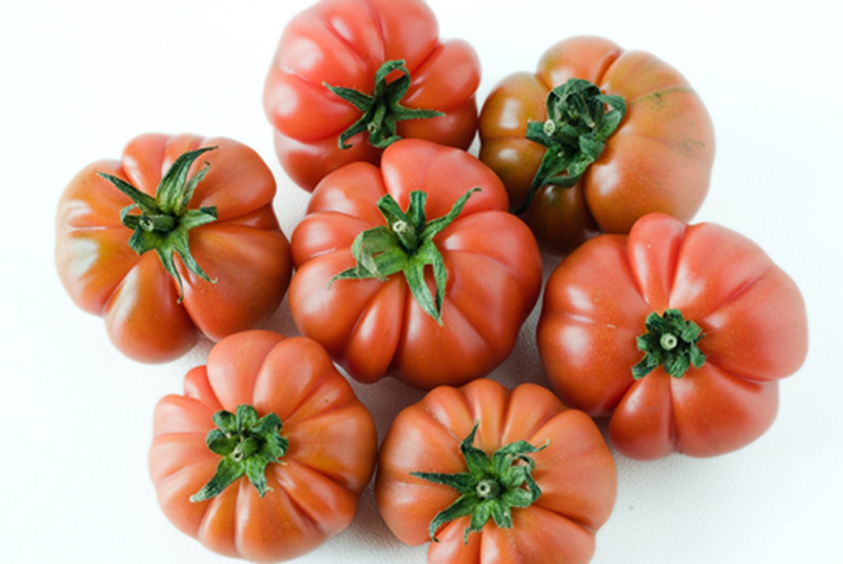 Pomodoro Marinda