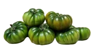 Pomodori Marinda