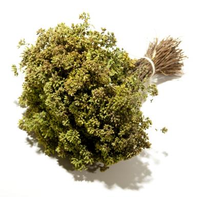 Origano siciliano