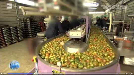 Acqua di Pomodoro 